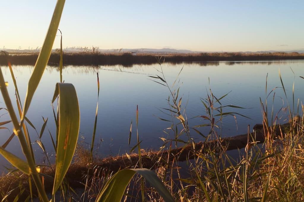 Beachfront House, Valencia, Wifi, Paddle Surf Board, Incredible Views Sueca Eksteriør bilde