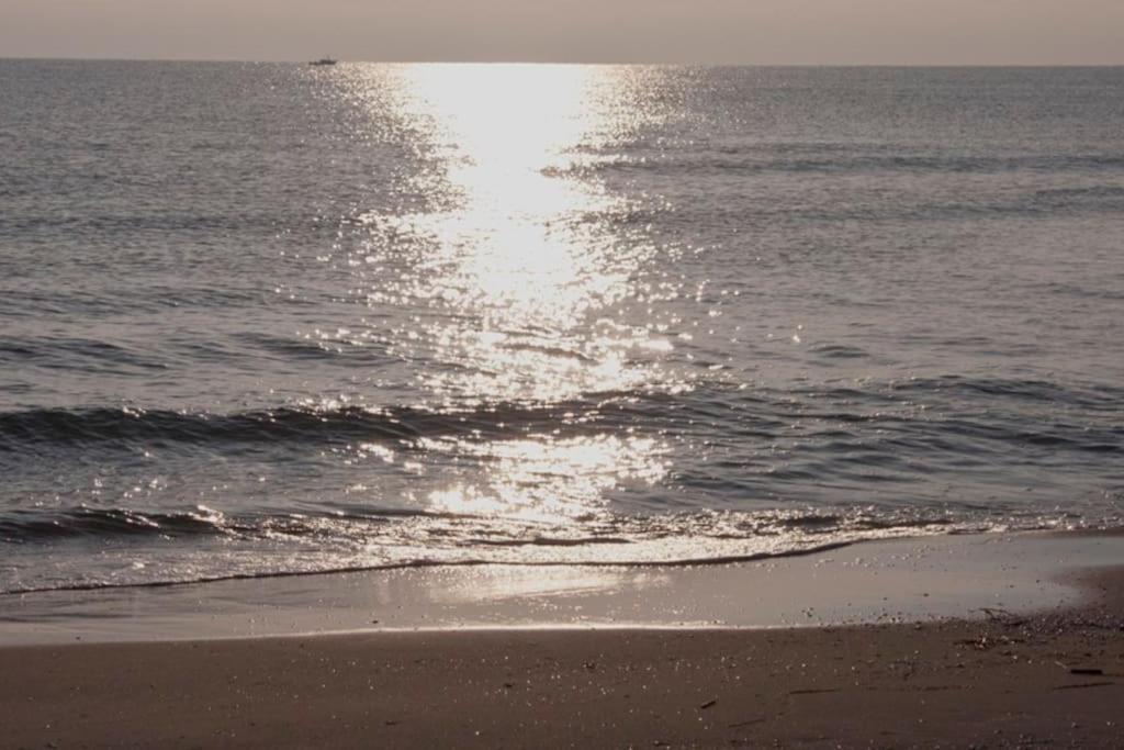 Beachfront House, Valencia, Wifi, Paddle Surf Board, Incredible Views Sueca Eksteriør bilde